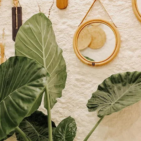 ホテル Ref Alacati *